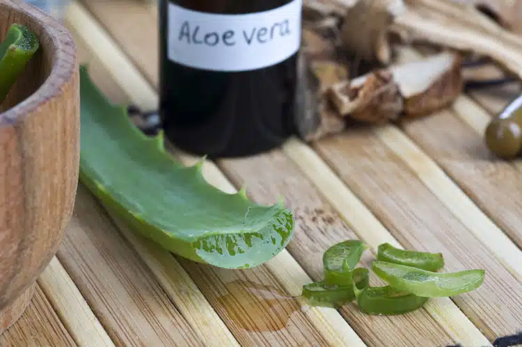aloe vera bottle with parts of an aloe plant on wooden table